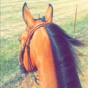 Meet your Posher, Katie